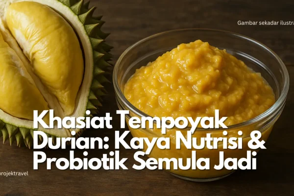 khasiat tempoyak durian