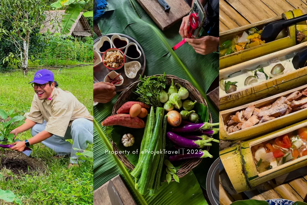 Anurak Vegetable Garden