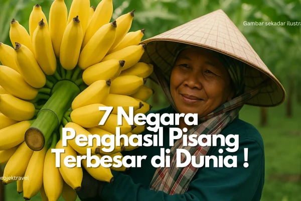 negara penghasil pisang terbesar dunia