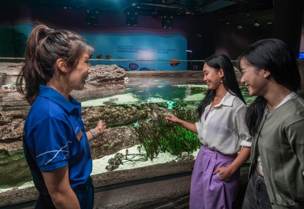 Seahorses singapore oceanarium