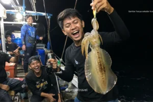 Panduan Candat Sotong