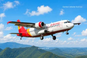AirBorneo
