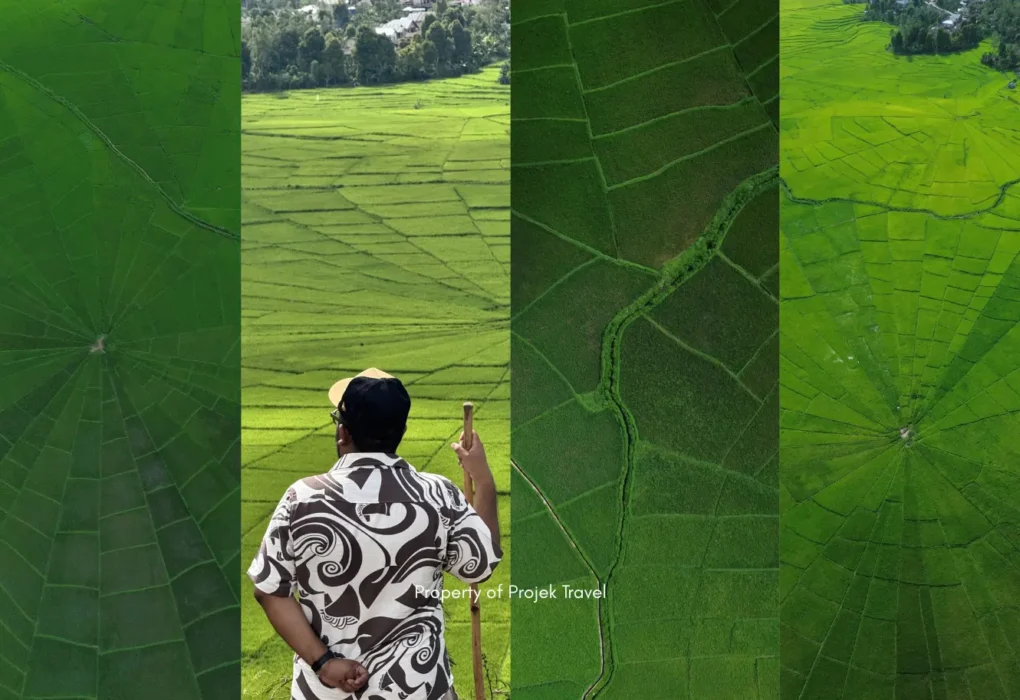 Sawah lingko Lodok
