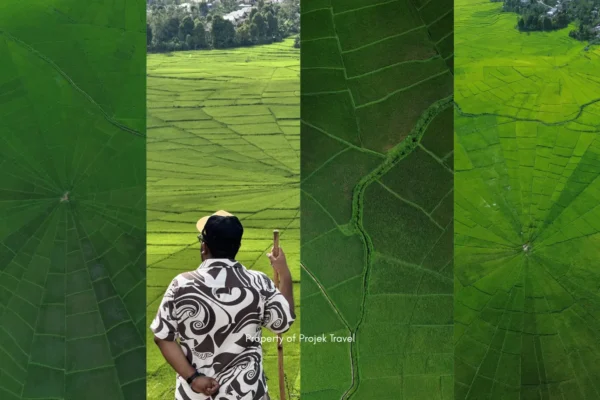 Sawah lingko Lodok