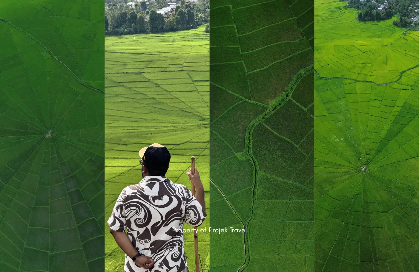 Sawah lingko Lodok