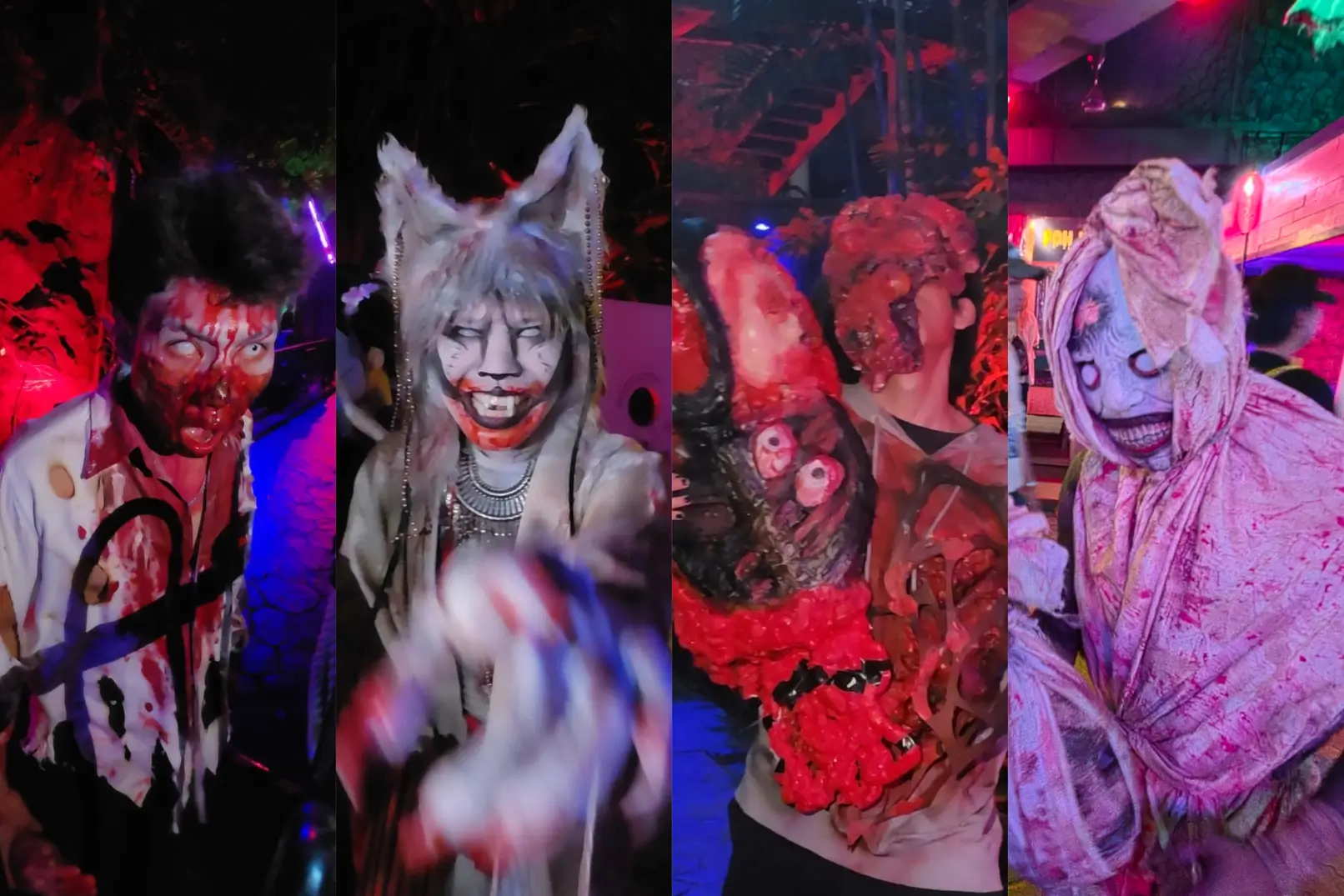 night of fright 12